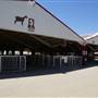 Kern County Fair - 15th DAA