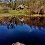 Cosumnes River Ranch