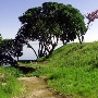 China Camp State Park (SP)