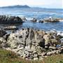 Carmel Beach