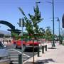 City of Gonzales