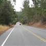 Monhollon Road