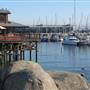 Monterey - Coastal Views