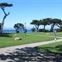 Pacific Grove