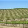 Inn at the Pinnacles / Brosseau Vineyards - next to Pinnacles National Park