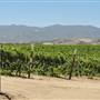 Joyce Winery (fka Ventana Vineyards)