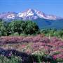 Mount Shasta City
