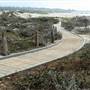 Asilomar State Beach and Conference Grounds