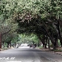 Claremont