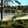 Caspar Headlands State Beach (SB)
