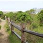 MacKerricher State Park (SP) - Inglenook Ten Mile Preserve - northern stretch - aka Ten Mile Dunes