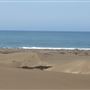 MacKerricher State Park (SP) - Inglenook Ten Mile Preserve - northern stretch - aka Ten Mile Dunes