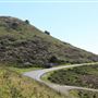 Navarro Point Preserve and Coastal Trail