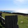 Navarro Point Preserve and Coastal Trail