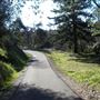 Shasta County Trails