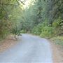 Shasta County Roads & Bridges