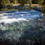 Shasta County Agricultural