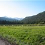Shasta County Natural Landscapes & Parks
