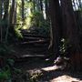 Otis R Johnson Wilderness Park