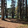 Russian Gulch State Park (SP) / Russian Gulch Bridge - Highway 1