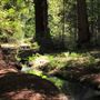 Faulkner County Park