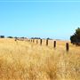 Van Damme State Park (SP) / Beach / Pygmy Forest / Fern Canyon Trail / Spring Ranch Trail