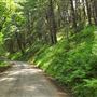 Peachland Road