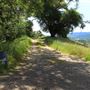 Peachland Road