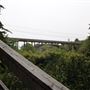 Jug Handle Creek Bridge - Highway 1