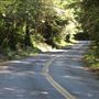 Little Lake Road