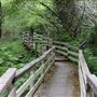 Jug Handle State Natural Reserve (SNR)