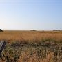 Point Cabrillo Light Station State Historic Park (SHP)