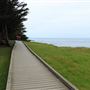 Boardwalk at Laguna Point @ (MacKerricher State Park)