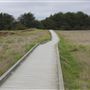 Boardwalk at Laguna Point @ (MacKerricher State Park)