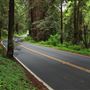 Navarro River Redwoods State Park (SP)