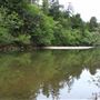 Navarro River - located in Hendy Woods State Park (SP)