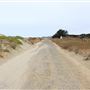 Haul Road Coastal Trail (MacKerricher State Park)