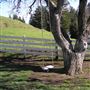 Browder Ranch