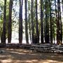 Casini Ranch Family Campground