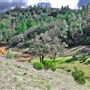 Cinnabar Ranch