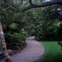 The Bodega Bay Secret Gardens - fka Compass Rose Garden