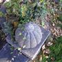 Cypress Hill Memorial Park