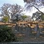 Cypress Hill Memorial Park