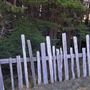 Fort Ross State Historic Park (SHP)
