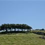 J G Angus Ranch