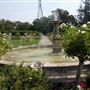 Ledson Winery