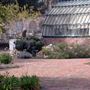 Luther Burbank Home & Gardens