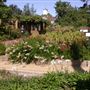 Luther Burbank Home & Gardens