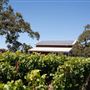 Olivet Grange Vineyard