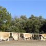 Petaluma Adobe State Historic Park (SHP)